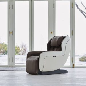 Massage Chair Palet